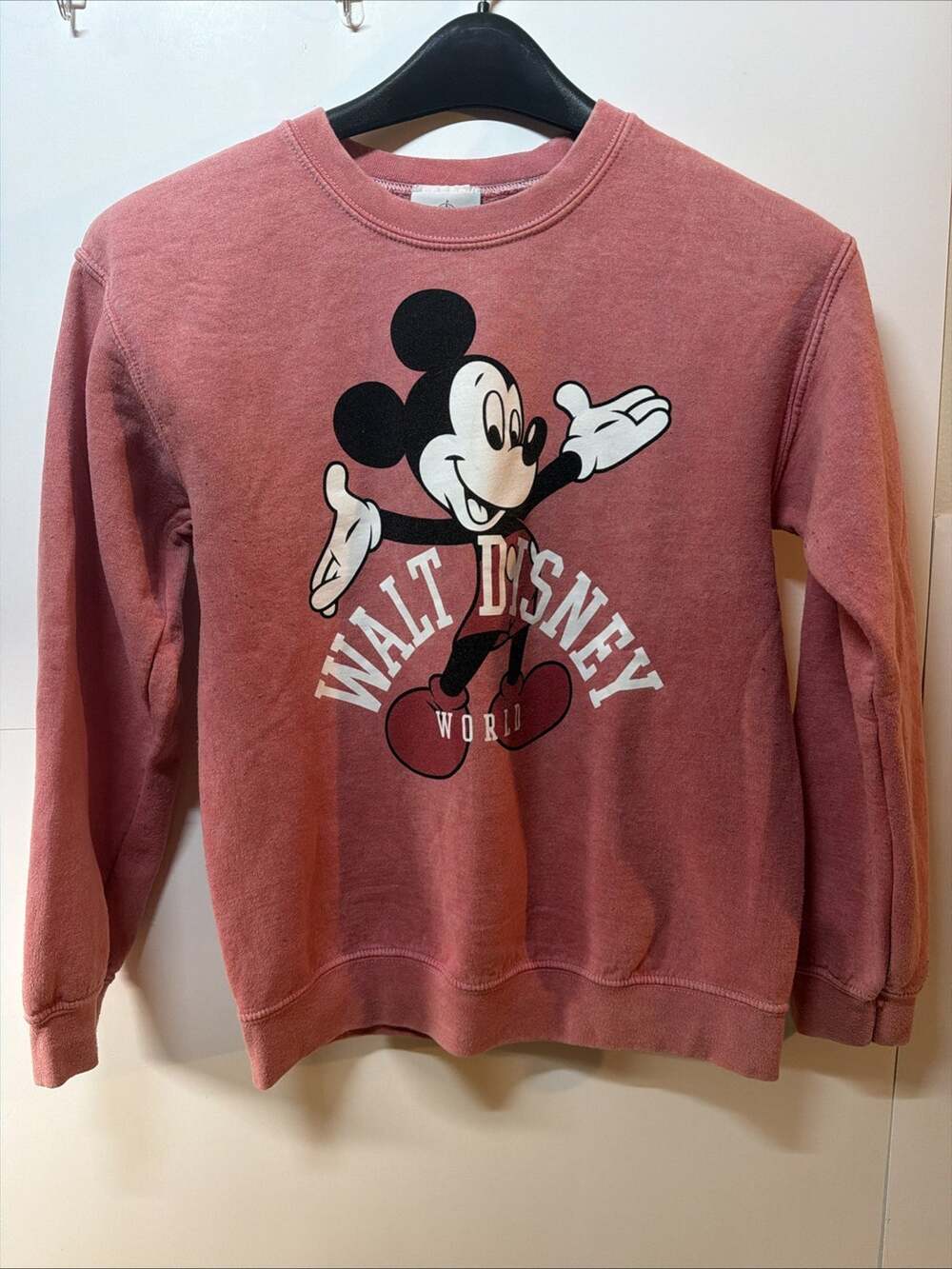 Walt Disney World Mickey Mouse Pink Crewneck Size Small
